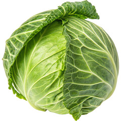 Fresh green cabbage on black background