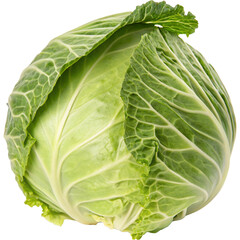 Fresh green cabbage on black background