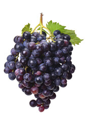 Bunch of grapes isolated