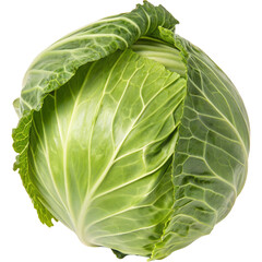 Fresh green cabbage on black background