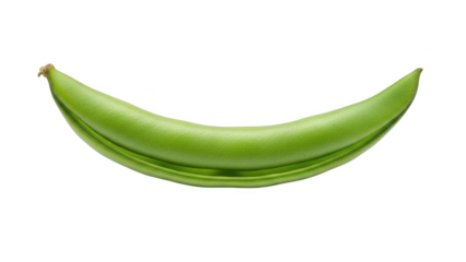 Single green bean pod open on black background vegetable