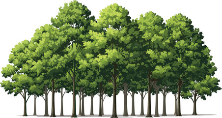 Fototapeta premium Dense green forest trees illustration with layered foliage, natural landscape vegetation scene, lush woodland vector artwork for environmental and nature projects
