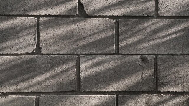 Sunlight through the tree branches on to the old concrete block wall. Brick texture surface background