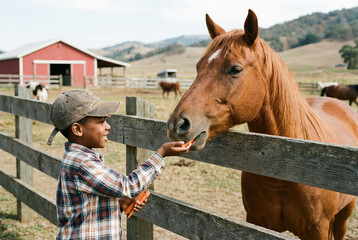 Ni&ntilde;o alimentando a un caballo con zanahorias en una granja rural en un entorno monta&ntilde;oso.