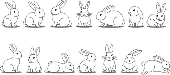 Detailed Vector Collection of Diverse Frog Species and Toad Illustrations in Various Colors and Patterns, Ideal for Biology, Wildlife, Amphibian, and Nature Education Graphics.