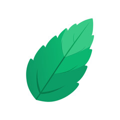 vector clip art mint leaf on white background for web and graphic design © Tamanna