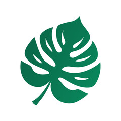 vector clip art monstera leaf on white background for web and graphic design