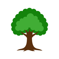 vector clip art oak tree on white background for web and graphic design