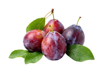 Fototapeta premium Fresh plums with green leaves on white background