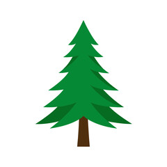 vector clip art pine tree on white background for web and graphic design