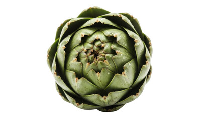 Fototapeta premium Close up of a green artichoke with water droplets on black background
