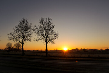 Sunrise landscape winter road and two tall trees. without leaves Nature meadow frosty morning scenery in Netherlands. 