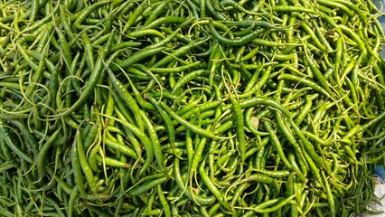 Fresh winter vegetables of India.