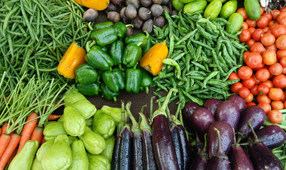 Fresh winter vegetables of India.