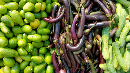 Fresh winter vegetables of India.