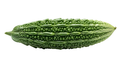 Fresh bitter melon close up detailed texture isolated on transparent background