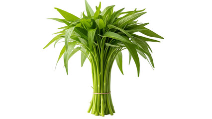 Obraz premium Fresh green bamboo stalks and leaves arrangement isolated on transparent background