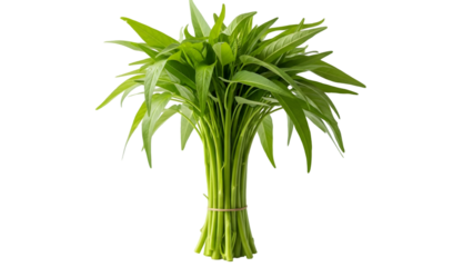 Fresh green bamboo stalks and leaves arrangement isolated on transparent background