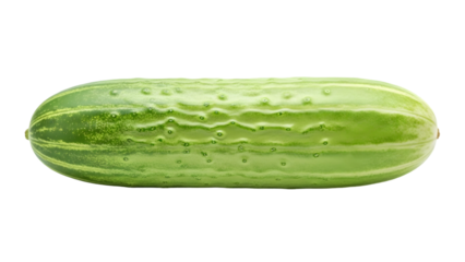 Fresh green cucumber close up isolated on transparent background