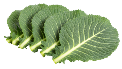 Fresh collard greens leaves stacked close up isolated on transparent background