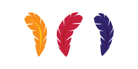 Beautiful collection of colorful feathers vector illustration isolated on white background decorative natural elements perfect for bohemian art festival craft and design concepts