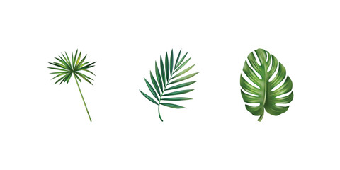 Lush green tropical leaves vector foliage monstera palm fern exotic jungle rubber plant pine decorative natural background design