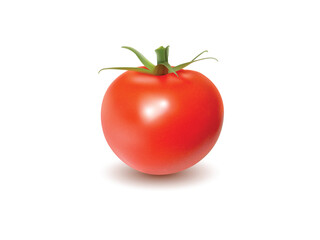 Ripe red tomato photo realistic vector illustration fresh organic vegetable food natural design isolated transparent background detail