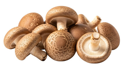 A cluster of fresh shiitake mushrooms isolated on transparent background