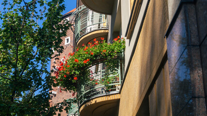 Red flowers on the balcony view from below. Bush of red flowers on a semicircular balcony with glass walls
