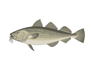 An unique and beautiful Vintage style cod fish illustration in clean profile view, bold black outlines, pale body tones, detailed fins icon ,on minimal white background.