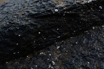 Dark stone or asphalt surface with scattered white speckles creating gritty abstract background.