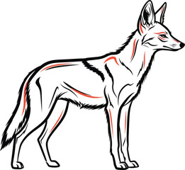 Obraz premium Standing Fox Animal Vector Illustration