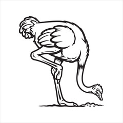 A Beautiful Ostrich Bird