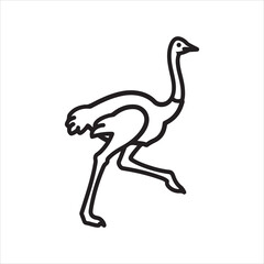 Beautiful ostrich bird vector design art