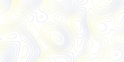 Abstract digital modern gradient Colorful topography pattern lines sea map area space geometric strip grid line topo map technology modern design white background.