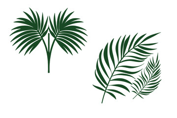 Double Green Leaf Botanical Illustration, Minimalist Nature Art Vector