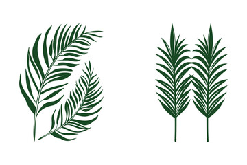 Double Green Leaf Botanical Illustration, Minimalist Nature Art Vector