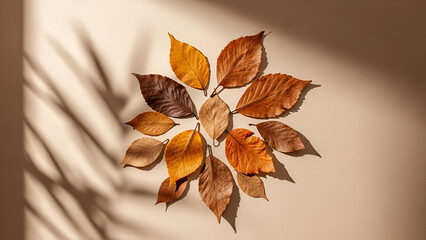 Yellow autumn leaves on the ground and tree branches in fall season with vibrant red and orange foliage