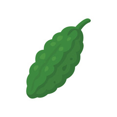 vector illustration of a bitter melon