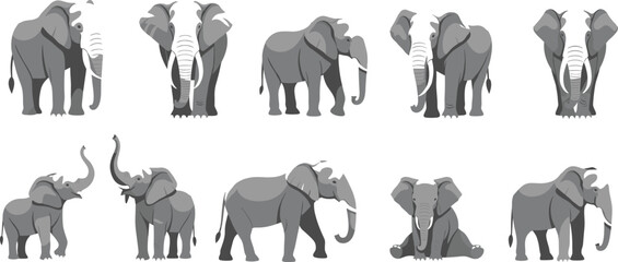 Vector Collection of Colorful Exotic Birds, Including Macaws, Budgerigars (Budgies), Lovebirds, and Cockatoos, Ideal for Tropical Wildlife, Ornithology, Pet, and Nature Graphics. © Rubya