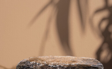 Rock stone isolated podium on brown wall background,Brown Rock sea platform with nature texture leaves shadow for cosmetic,beauty.Template mineral stone mockup stage presentation with natural light