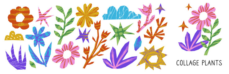 Cut out irregular organic shapes for collages and zine design. Cut color botanical floral elements with drawn torn edge with scribble. Plants doodle scrap.