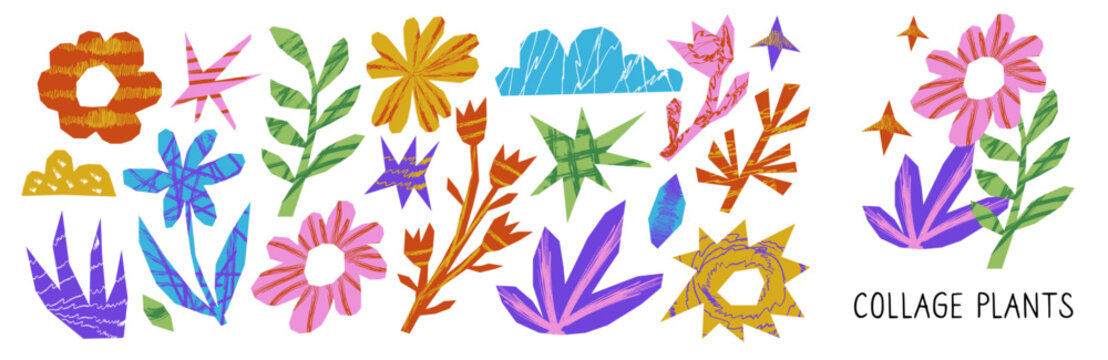 Cut out irregular organic shapes for collages and zine design. Cut color botanical floral elements with drawn torn edge with scribble. Plants doodle scrap.