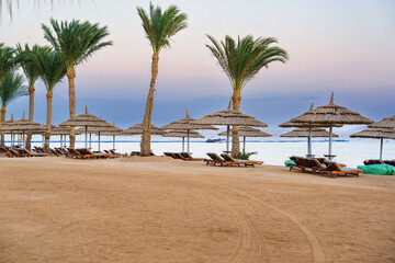 Relaxing beach setting with palm trees, sun loungers, and thatched umbrellas at twilight near the water