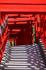 山口県の元乃隅神社(もとのすみじんじゃ)、赤色の鳥居が神秘的で美しい