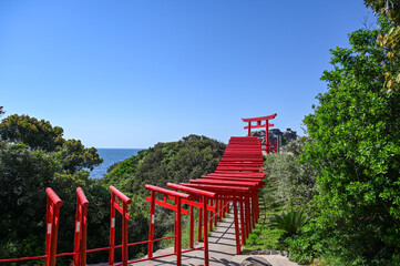 山口県の元乃隅神社(もとのすみじんじゃ)、赤色の鳥居が神秘的で美しい