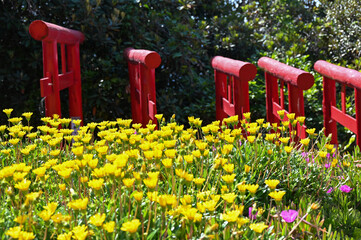 山口県の元乃隅神社(もとのすみじんじゃ)、赤色の鳥居が神秘的で美しい
