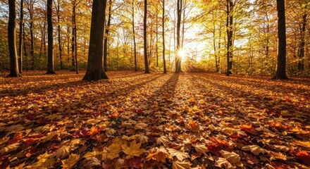 Autumn sunlight streams through a forest floor blanketed in vibrant fallen leaves