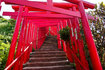 山口県の元乃隅神社(もとのすみじんじゃ)、赤色の鳥居が神秘的で美しい