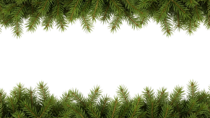 Snowy Pine Branches Border Frame isolated on a transparent background